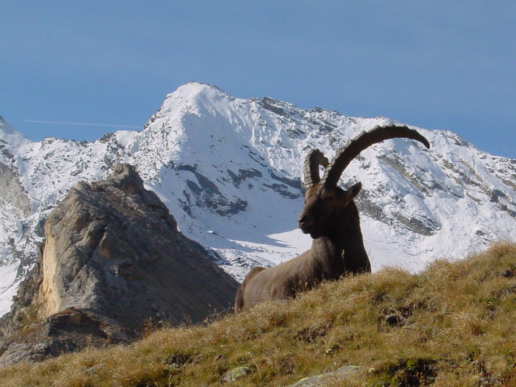 Trekking en Alpes. Las 12 rutas más clásicas - Blog de Muntania Outdoors
